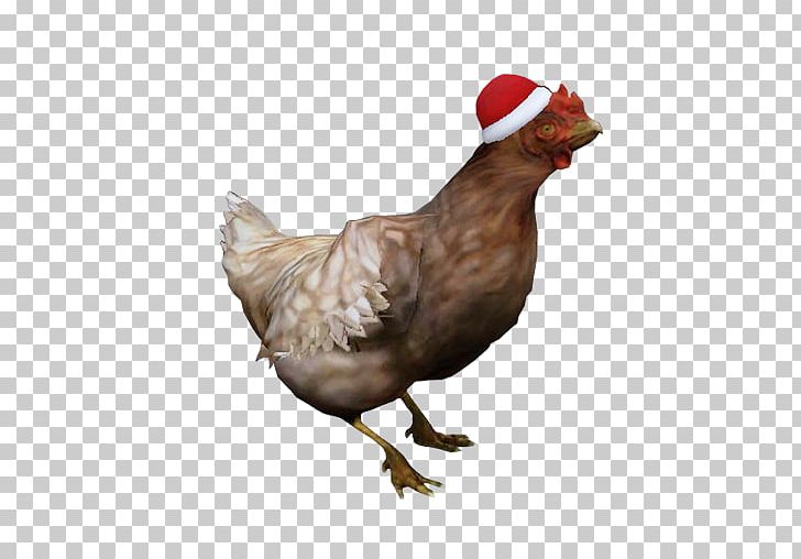 Counter-Strike: Global Offensive Counter-Strike: Source Team Fortress 2 Chicken PNG, Clipart, Animals, Animation, Beak, Bird, Chicken Free PNG Download
