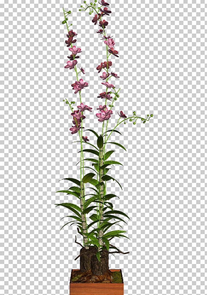 Dendrobium Houseplant Flowerpot 12 June Shrub PNG, Clipart, 12 June, Cicek Resimleri, Dendrobium, Flower, Flowering Plant Free PNG Download