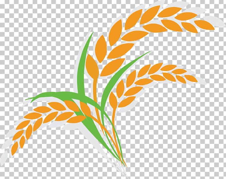 Oat Wheat Shutterstock Illustration PNG, Clipart, Adobe Icons Vector, Autumn, Autumn Harvest, Balloon Cartoon, Camera Icon Free PNG Download