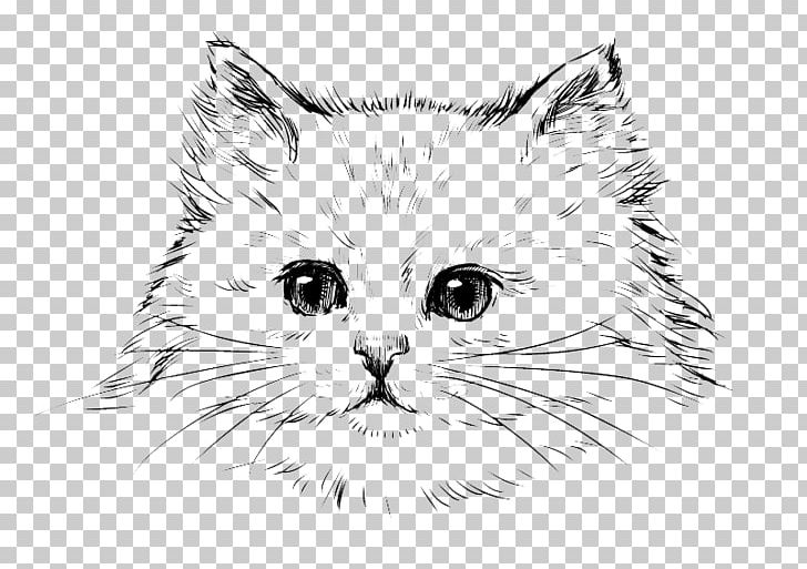 Persian Cat Kitten Drawing Black Cat PNG, Clipart, Black, Carnivoran, Cat Like Mammal, Encapsulated Postscript, Eye Free PNG Download