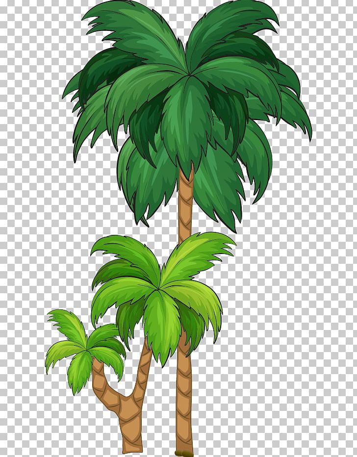Tree Arecaceae Illustration PNG, Clipart, Arecaceae, Arecales, Cartoon, Cartoon Character, Cartoon Eyes Free PNG Download