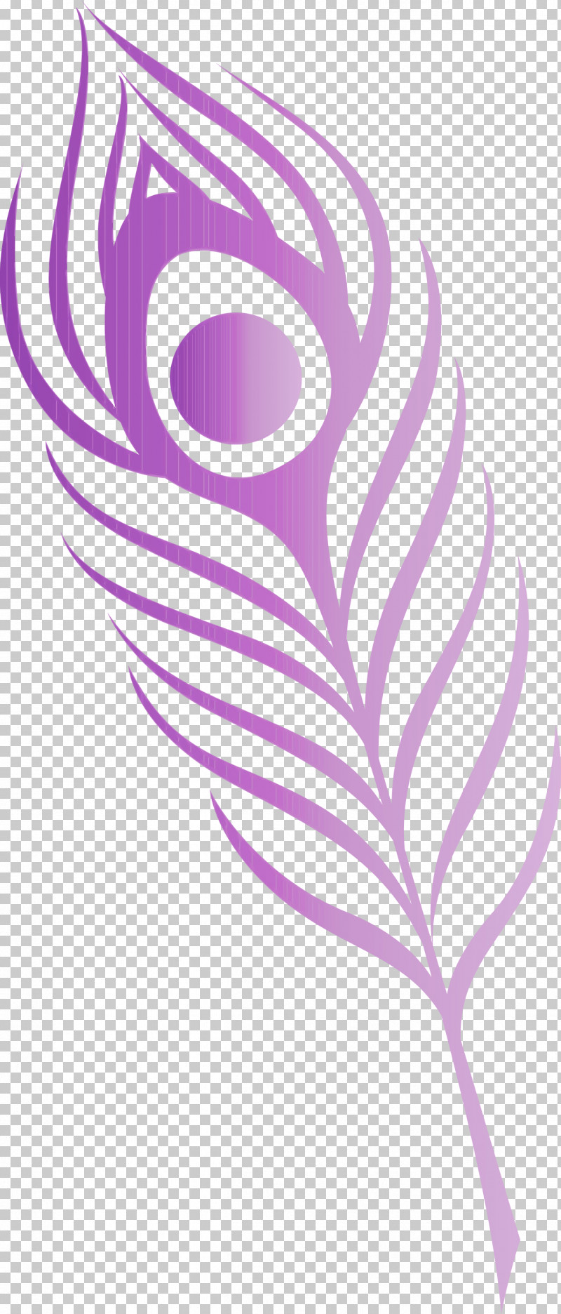 Feather PNG, Clipart, Biology, Feather, Flower, Leaf, Line Art Free PNG Download