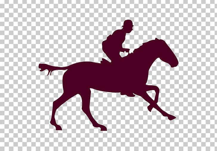 Horse Equestrian Pony English Riding Rein PNG, Clipart, Animals, Bridle, English Riding, Equestrian, Equestrianism Free PNG Download