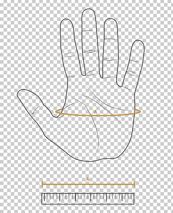 Peccary Thumb Glove Nappa Leather PNG, Clipart, Angle, Area, Arm, Black, Brown Free PNG Download