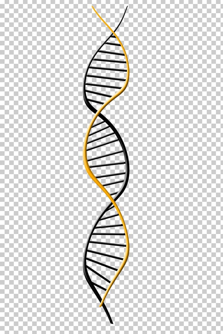 Genetics DNA Extraction Genome PNG, Clipart, Area, Artwork, Branch, Disease, Dna Free PNG Download