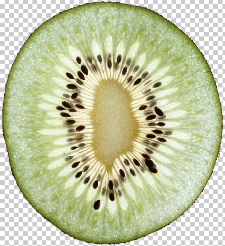 Kiwi PNG, Clipart, Kiwi Free PNG Download