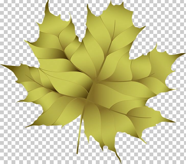 Maple Leaf PNG, Clipart, Art, Autumn, Feuille, Flowering Plant, Leaf Free PNG Download