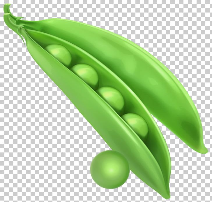 Snap Pea PNG, Clipart, Corn Clipart, Document, Food, Fruit, Green Peas Free PNG Download