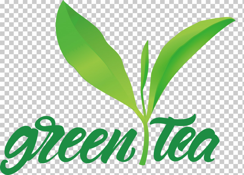 Leaf Plant Stem Logo Font Herbal Medicine PNG, Clipart, Biology, Herbal Medicine, Leaf, Logo, Plant Free PNG Download
