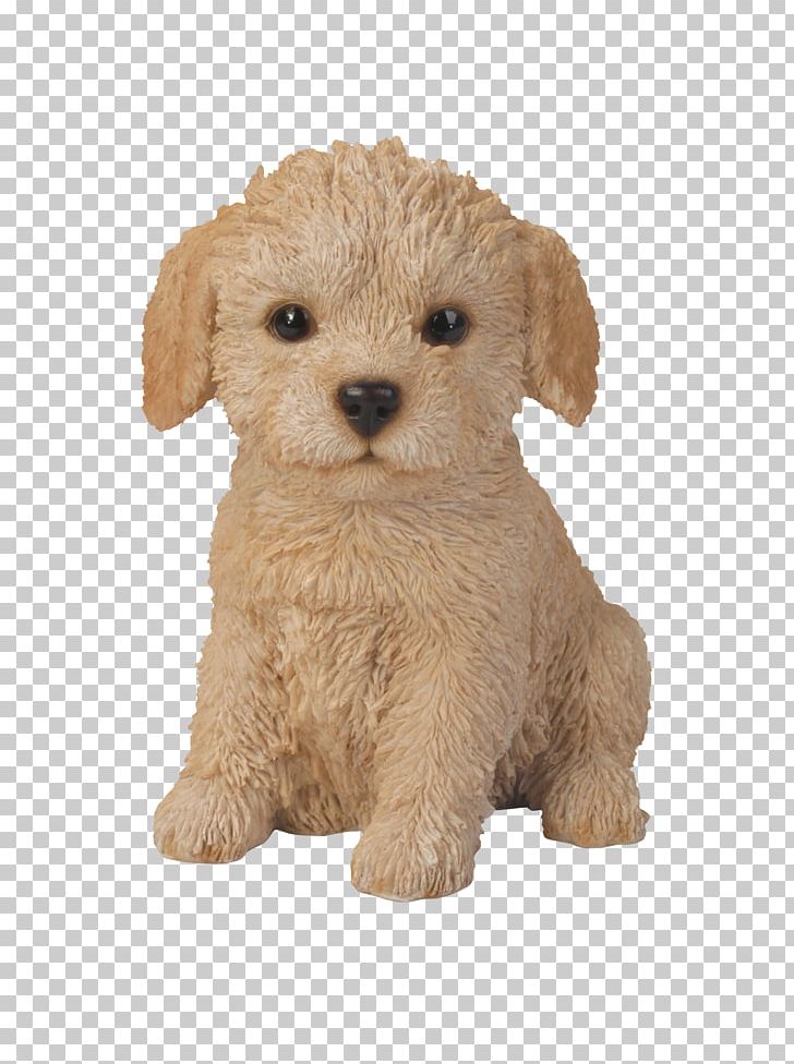 Puppy Poodle Labrador Retriever Golden Retriever Jack Russell Terrier PNG, Clipart, Animal, Animals, Breed, Canidae, Carnivoran Free PNG Download