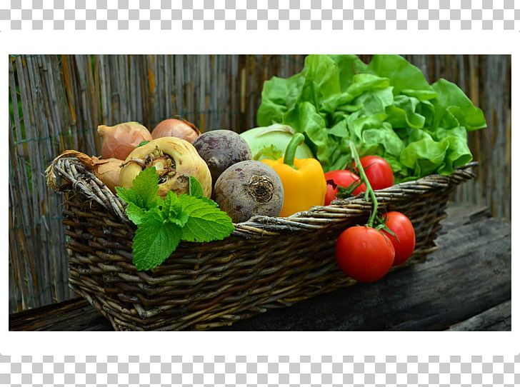 Smoothie Vegetable Harvest Eating Fruit PNG, Clipart, Basket, Cucumber, Dietary Fiber, Diet Food, Eating Free PNG Download