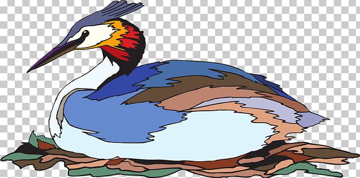 Bird Grebe PNG, Clipart, Animals, Art, Artwork, Beak, Bird Free PNG Download