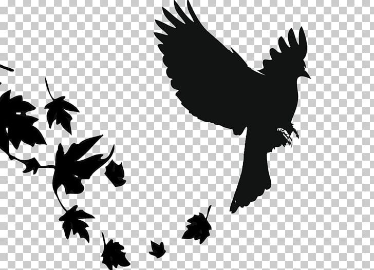 Red-winged Blackbird Common Blackbird Beak PNG, Clipart, Agelaius, Animals, Beak, Bird, Bird Of Prey Free PNG Download