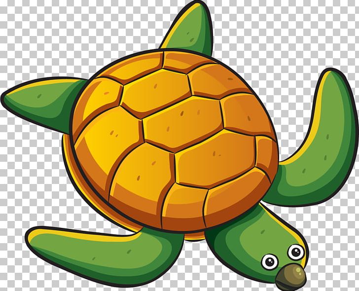Sea Turtle Marine Biology PNG, Clipart, Animal, Animals, Cartoon, Download, Drawing Free PNG Download