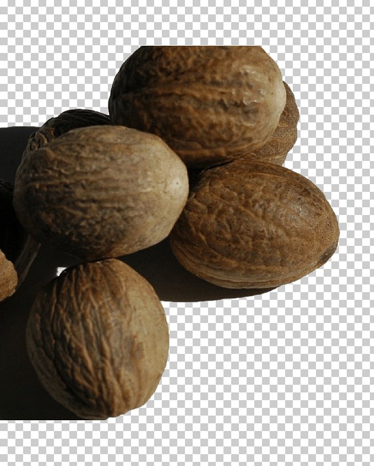 Walnut Tree Nut Allergy Ingredient VY2 PNG, Clipart, Fruit Nut, Ingredient, Nut, Nuts Seeds, Seed Free PNG Download