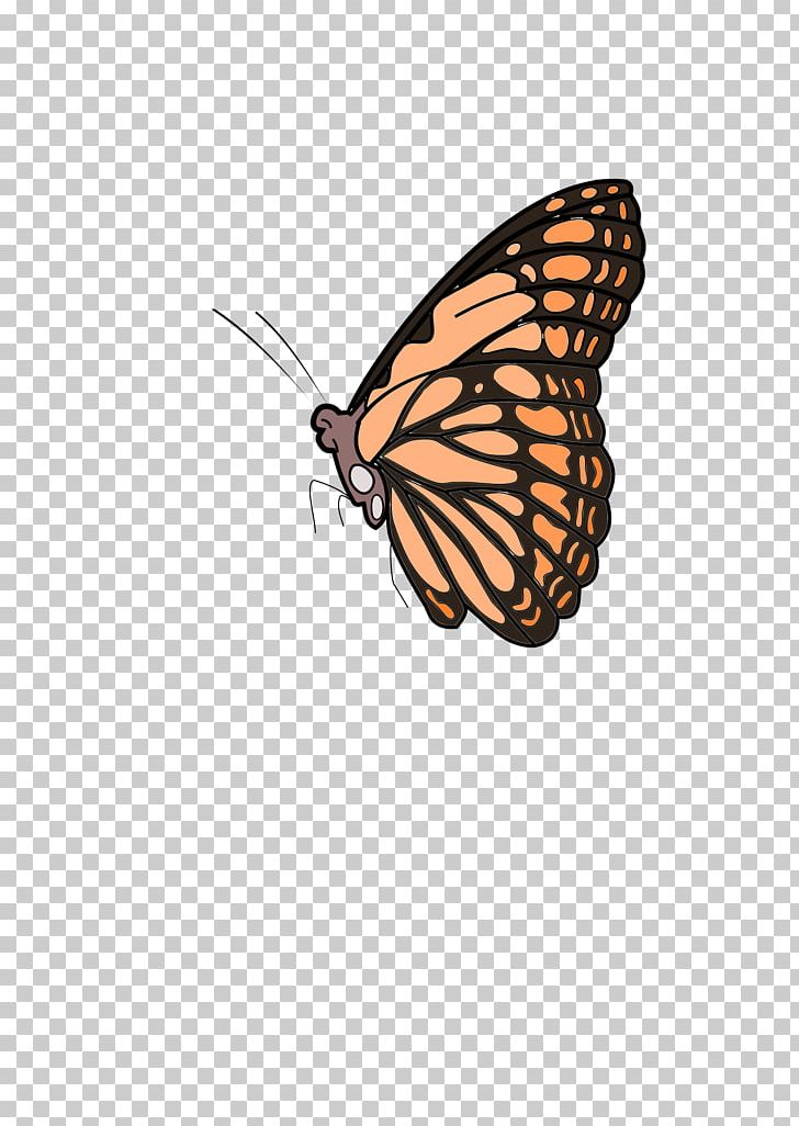 Monarch Butterfly Markesot Bertutur PNG, Clipart, Arthropod, Brush Footed Butterfly, Butterfly, Encapsulated Postscript, Fan Art Free PNG Download