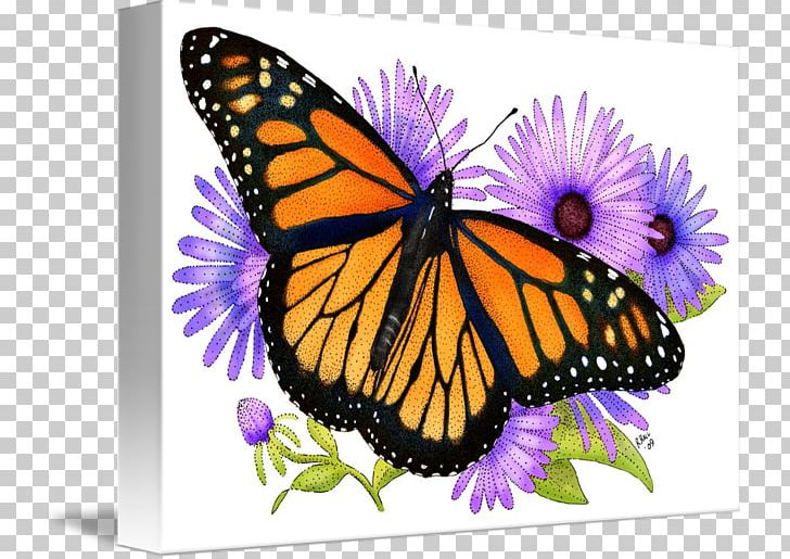 Monarch Butterfly Viceroy Pieridae Drawing PNG, Clipart, Animal, Arthropod, Brush Footed Butterfly, Butterfly, Caterpillar Free PNG Download