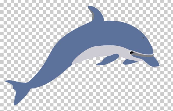 Open Common Bottlenose Dolphin Desktop PNG, Clipart, Animals, Beak, Bottlenose Dolphin, Common Bottlenose Dolphin, Computer Icons Free PNG Download