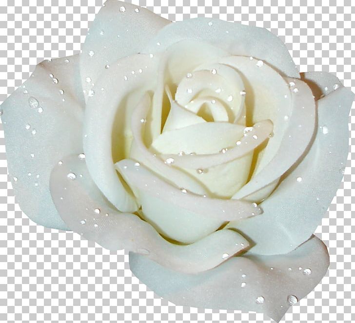 Rose White PNG, Clipart, Art Corner, Clip Art, Color, Cut Flowers, Desktop Wallpaper Free PNG Download