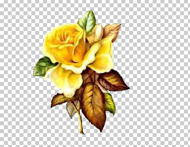 Centifolia Roses Paper Yellow Flower PNG, Clipart, Bud, Cartoon, Centifolia Roses, Creative, Cut Flowers Free PNG Download