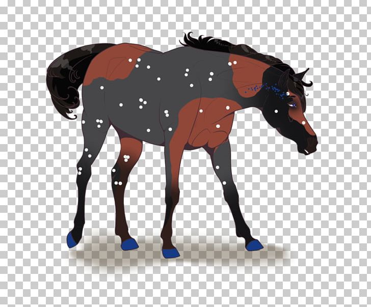 Mule Stallion Mustang Foal Colt PNG, Clipart, Animal Figure, Bridle, Colt, Donkey, Foal Free PNG Download