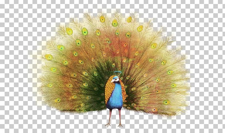 Paper Peafowl Painting Illustration PNG, Clipart, Animal, Animals, Cartoon, Computer Wallpaper, Feather Free PNG Download