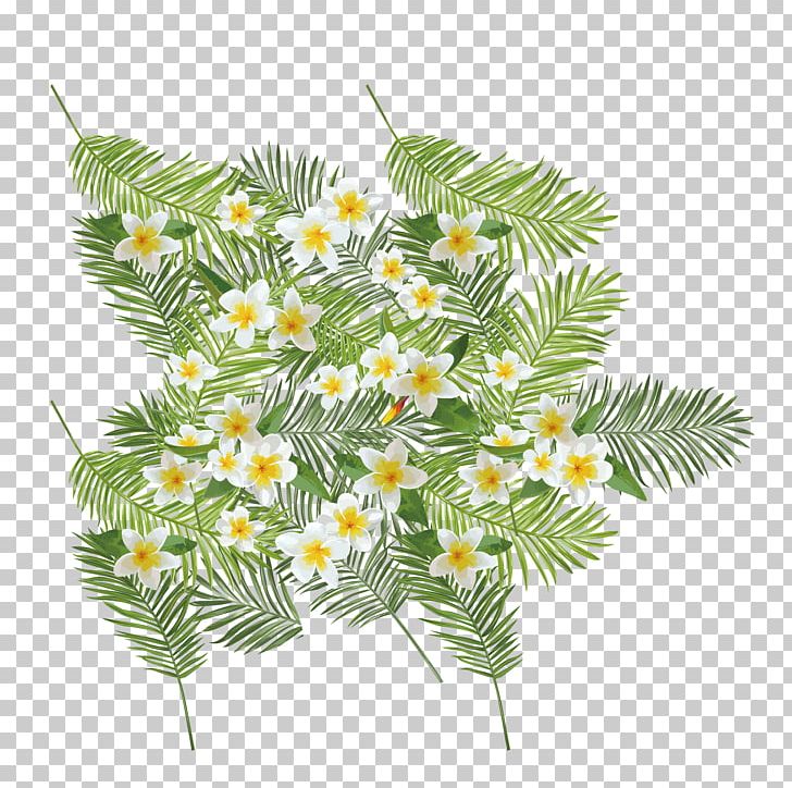 Euclidean Flower PNG, Clipart, Branch, Conifer, Egg, Egg Flowers, Encapsulated Postscript Free PNG Download