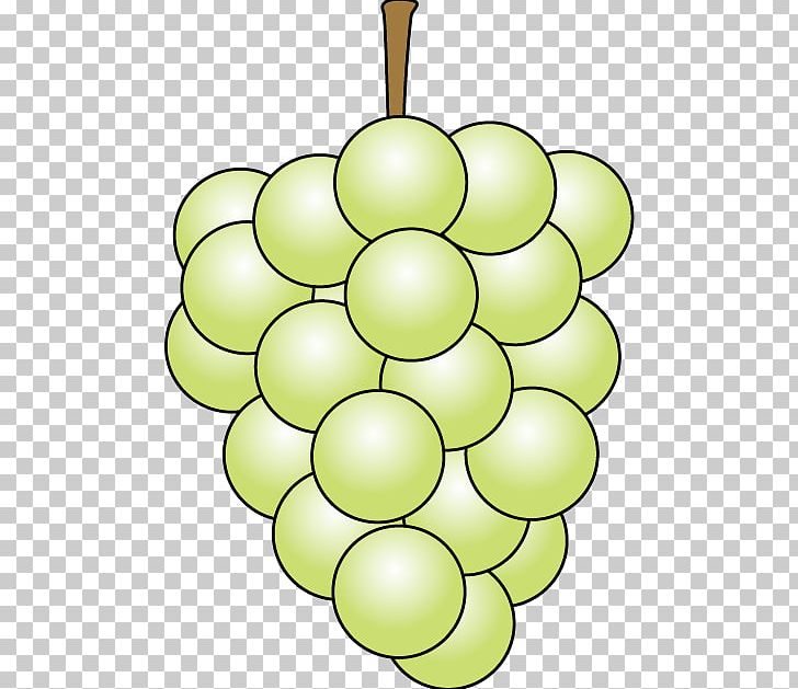 Grape Food Illustration Fruit PNG, Clipart, Bread, Child Care, Circle, Cuisine, Eating Free PNG Download