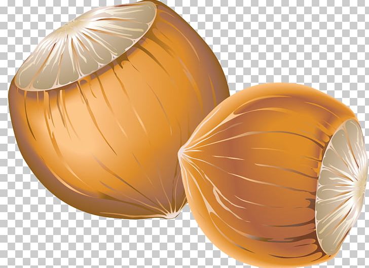 Hazelnut Acorn Nucule PNG, Clipart, Acorn, Artichokes, Auglis, Computer Icons, Download Free PNG Download