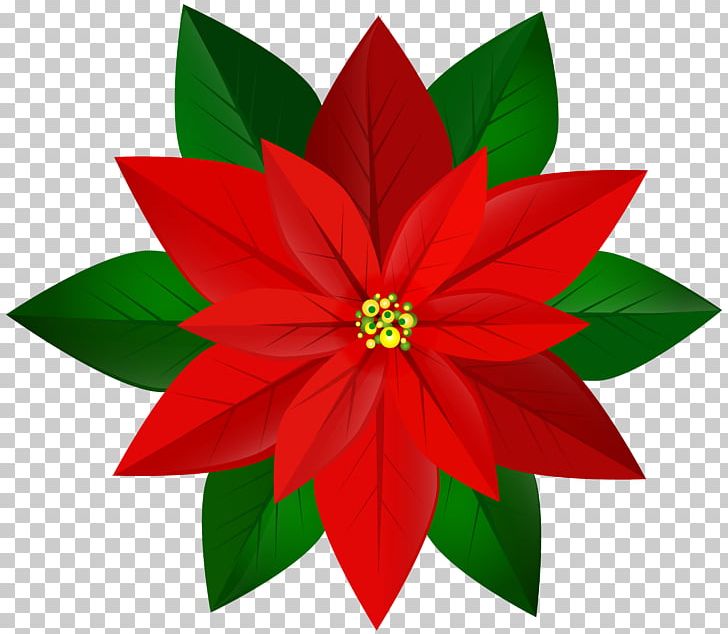 Poinsettia Christmas PNG, Clipart, Art, Christmas, Clip, Desktop Wallpaper, Document Free PNG Download