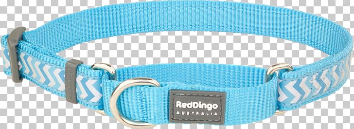Turquoise Martingale Dog Collar Dingo PNG, Clipart, Aqua, Azure, Blue, Collar, Color Free PNG Download