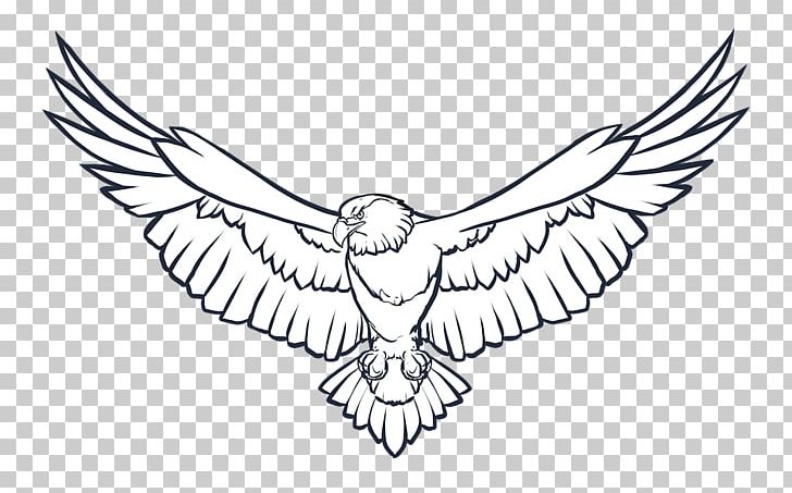 Bald Eagle Coloring Book Drawing PNG, Clipart, Adult, Animal, Animals, Arm, Artwork Free PNG Download