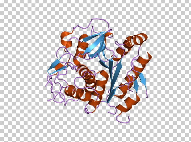 Cysteine Protease Enzyme Bromelain PNG, Clipart, Aminopeptidase, Atg, Autophagin, Bromelain, Cysteine Free PNG Download