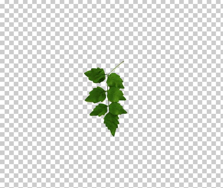 Leaf Green Tree Pattern PNG, Clipart, Autumn Leaves, Banana Leaves, Fall Leaves, Grass, Green Free PNG Download
