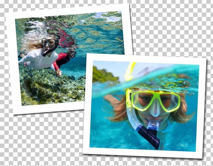 Underwater Diving Scuba Diving Snorkeling Free-diving PNG, Clipart, Advertising, Apn, Coral Reef, Dive Center, Diving Watch Free PNG Download