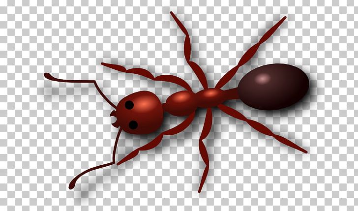 Ant Open Insect Free Content PNG, Clipart, Ant, Arthropod, Bullet Ant, Carpenter Ant, Desktop Wallpaper Free PNG Download