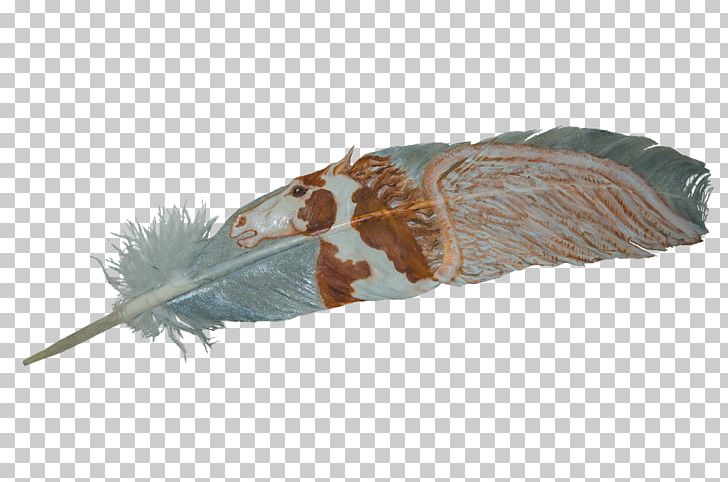Eagle Feather Law Owl Adobe Photoshop Portable Network Graphics PNG, Clipart, Animals, Card Game, Eagle, Eagle Feather Law, Fauna Free PNG Download