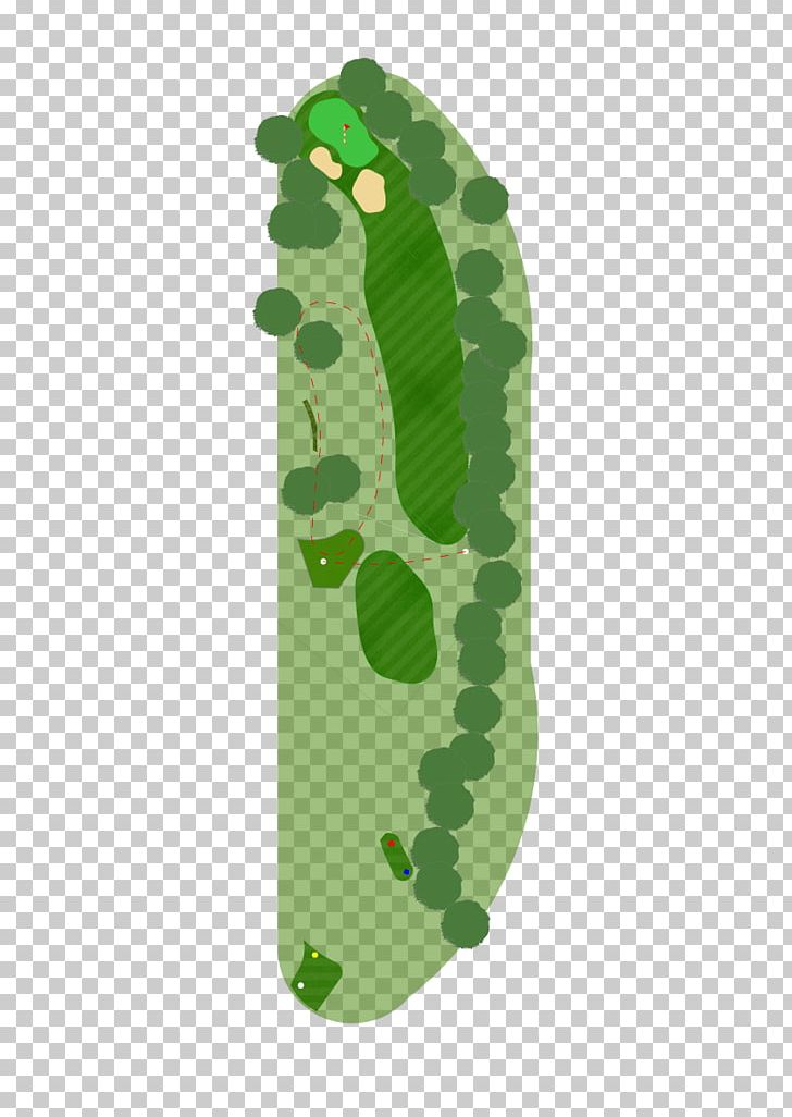 Leaf PNG, Clipart, Golf Course, Grass, Green, Leaf Free PNG Download