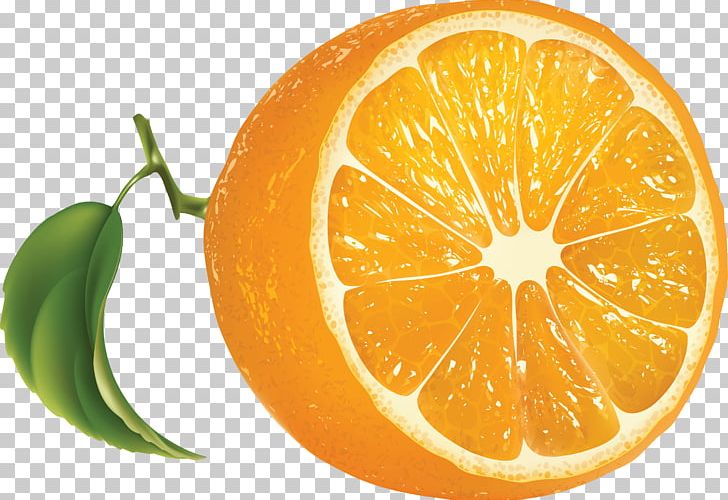 Orange Juice Tangerine Lemon PNG, Clipart, Cdr, Chia, Citrus, Encapsulated Postscript, Food Free PNG Download