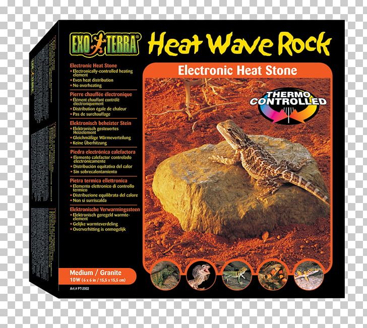 Reptile Heat Wave Exo Terra Terrarium PNG, Clipart, Animal, Animal Source Foods, Exo, Exo Terra, Heat Free PNG Download