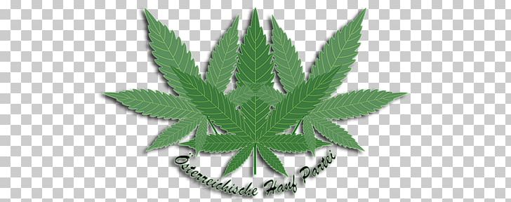 Cannabis Cannabidiol Hemp Article Bag PNG, Clipart, Article, Bag, Bearing, Cannabidiol, Cannabis Free PNG Download