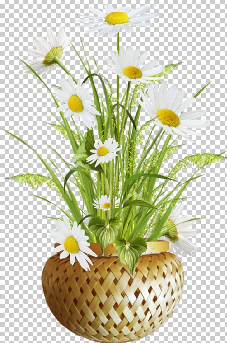 Portable Network Graphics Flowerpot PNG, Clipart, Animation, Chamaemelum Nobile, Chrysanths, Cut Flowers, Daisy Free PNG Download