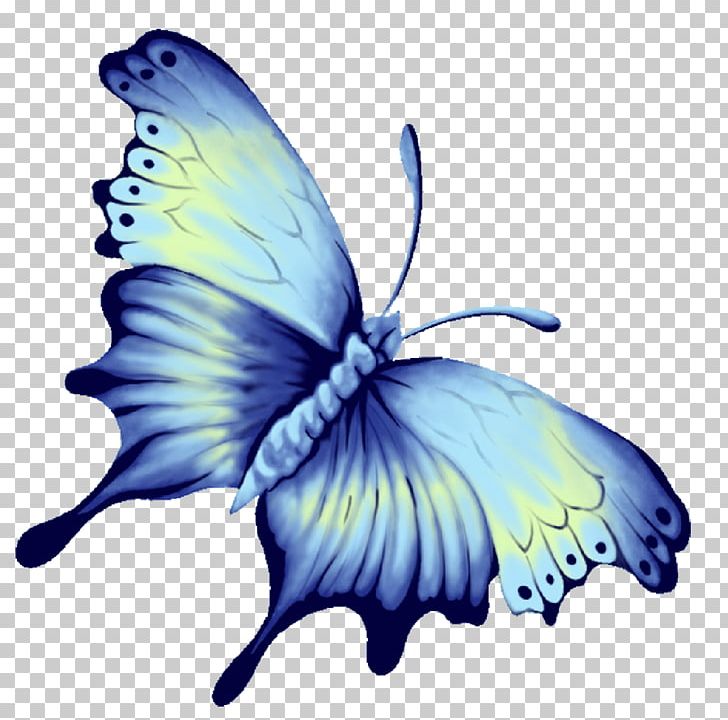Butterfly Blue Computer File PNG, Clipart, Beautiful, Blue, Blue Abstract, Blue Background, Blue Border Free PNG Download