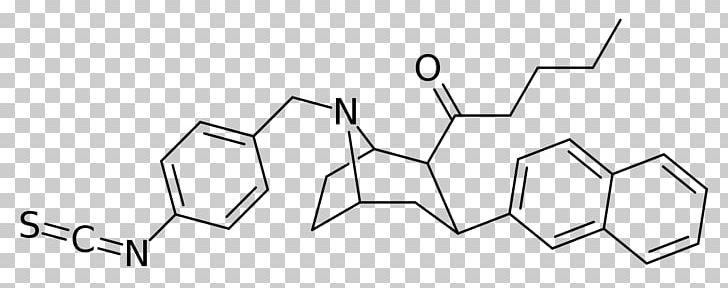 Dichloropane Serotonin–norepinephrine–dopamine Reuptake Inhibitor RTI-31 IC50 Phenyltropane PNG, Clipart, Angle, Area, Black And White, Brand, Circle Free PNG Download