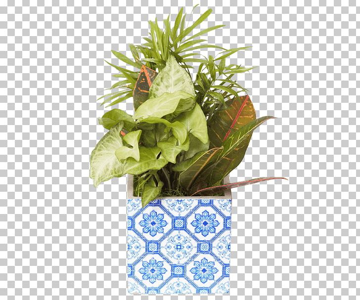 Flowerpot Leaf Floral Design Houseplant PNG, Clipart, Cube, Delft, Floral Design, Flowerpot, Flowers Free PNG Download