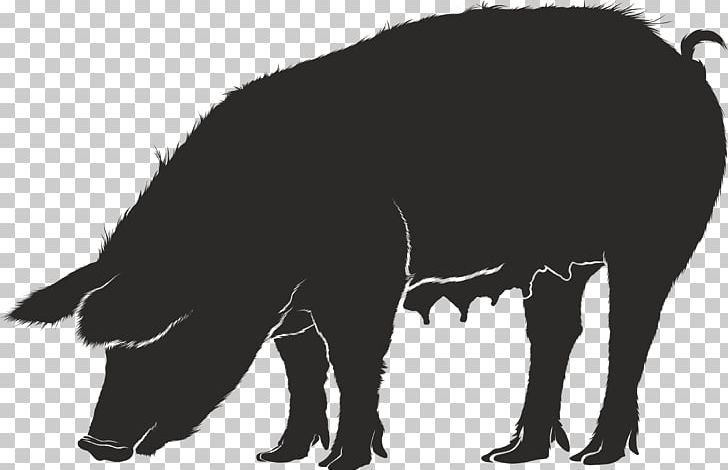 Guinea Pig Domestic Pig Silhouette PNG, Clipart, Animals, Bison, Black And White, Cattle Like Mammal, Domestic Pig Free PNG Download