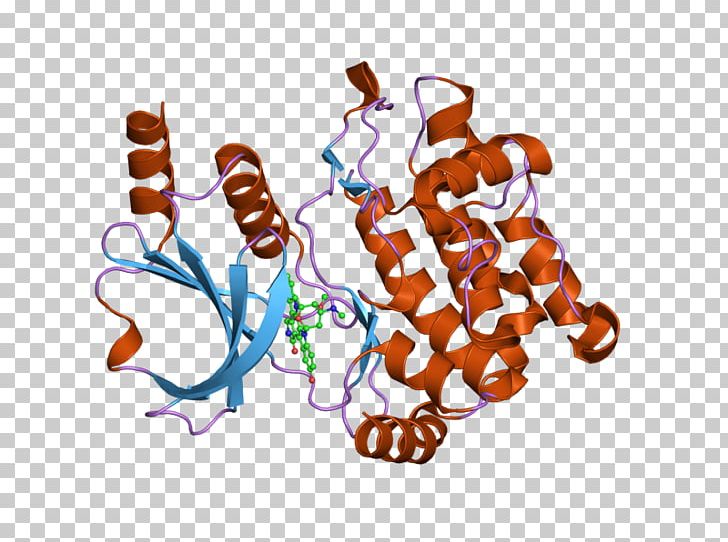 Protein Kinase A PAK1 PAK2 PNG, Clipart, Art, Cdc42, Cell Signaling, Cyclic Adenosine Monophosphate, Enzyme Free PNG Download