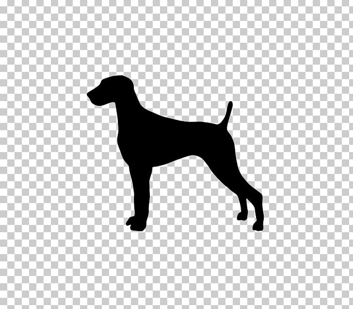 Weimaraner Dobermann Great Dane German Shorthaired Pointer Puppy PNG, Clipart, Animals, Black, Breed, Carnivoran, Decal Free PNG Download