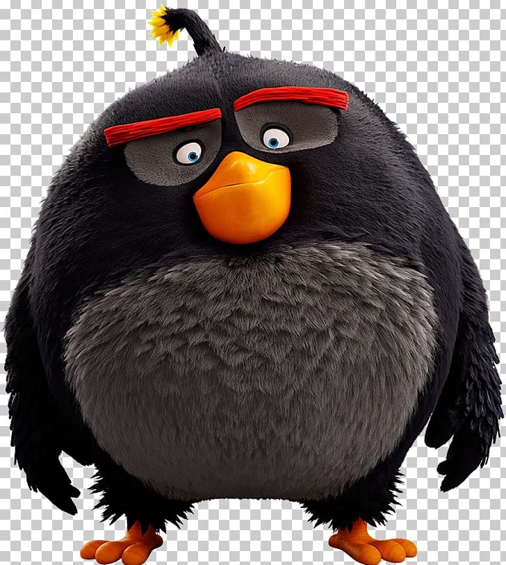 Angry Birds Evolution Angry Birds Epic Eva The Birthday Mom Film Animation PNG, Clipart, Angry Birds, Angry Birds Epic, Angry Birds Evolution, Angry Birds Movie, Animation Free PNG Download