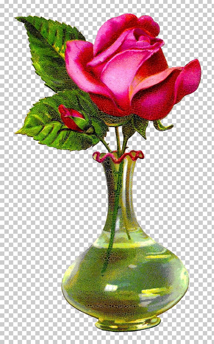 Flower Vase Garden Roses Floral Design Glass PNG, Clipart, Centifolia Roses, Cut Flowers, Floral Design, Floristry, Flower Free PNG Download